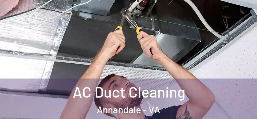  AC Duct Cleaning Annandale - VA