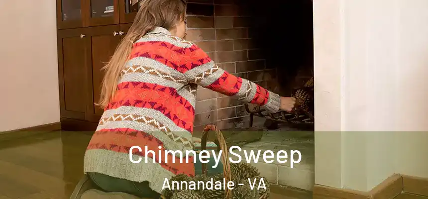  Chimney Sweep Annandale - VA