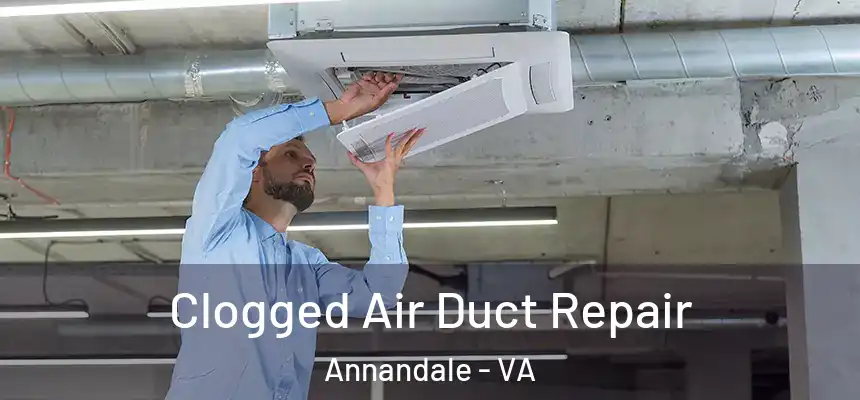  Clogged Air Duct Repair Annandale - VA