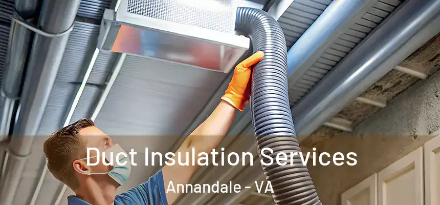  Duct Insulation Services Annandale - VA