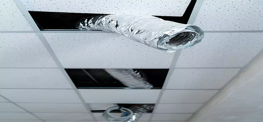 Affordable HVAC Sanitizing After Pest Removal in Annandale