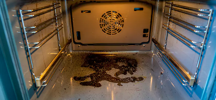 Our Dryer Vent Mold Cleaning Services in Annandale, VA