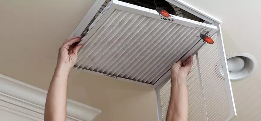 Our Insect Removal from Air Ducts Services in Annandale, VA