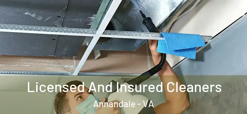  Licensed And Insured Cleaners Annandale - VA
