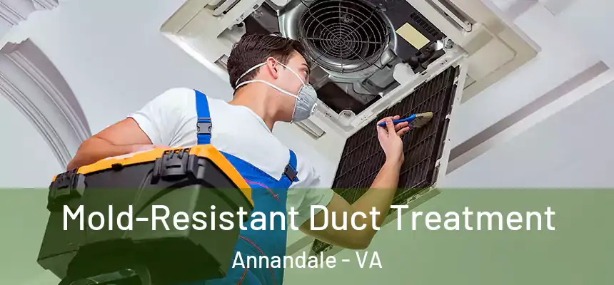  Mold-Resistant Duct Treatment Annandale - VA