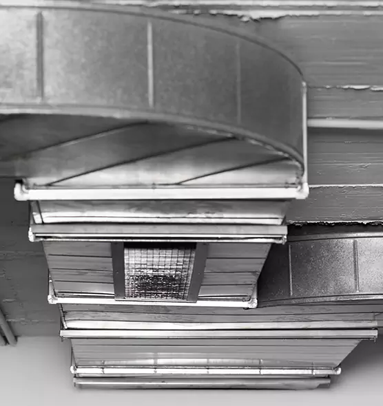 Professional Air Duct Pest Removal in Annandale, VA