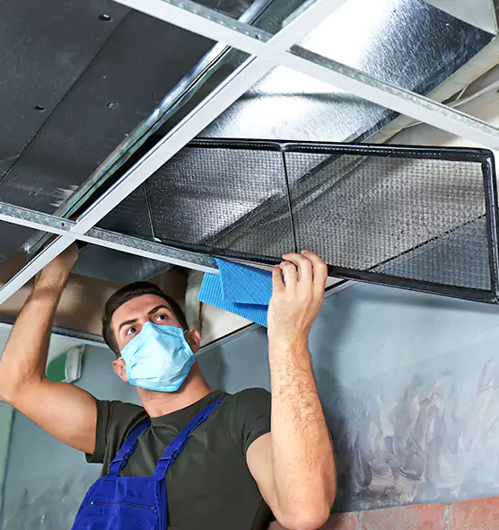 Professional Air Duct Pollen Cleaning in Annandale, VA