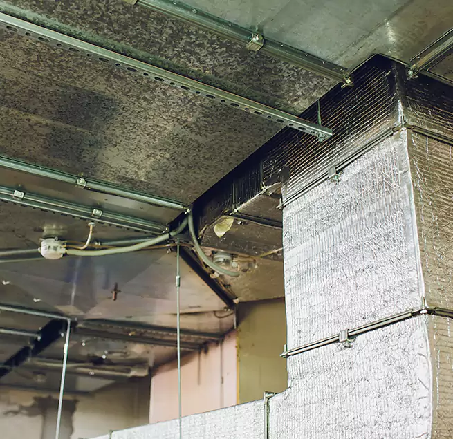 Why Homeowners & Businesses Trust Us in Annandale, VA?