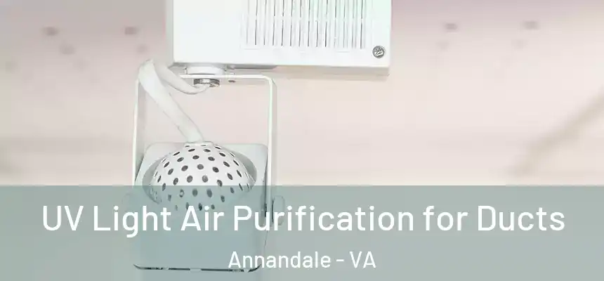  UV Light Air Purification for Ducts Annandale - VA