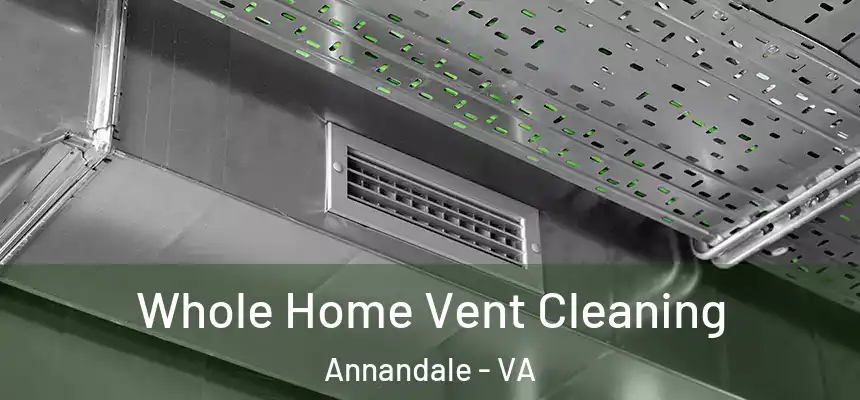  Whole Home Vent Cleaning Annandale - VA